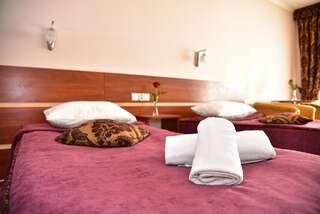 Отели типа «постель и завтрак» Gościniec Kaszubski Картузы Роскошный двухместный номер с 1 кроватью-3