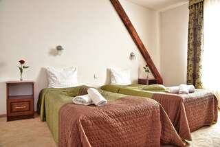 Отели типа «постель и завтрак» Gościniec Kaszubski Картузы Двухместный номер с 2 отдельными кроватями-4